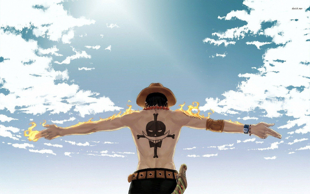 ace one piece ace one piece
